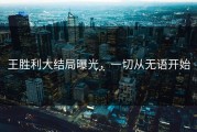 王胜利大结局曝光，一切从无语开始…