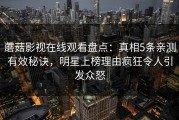 蘑菇影视在线观看盘点：真相5条亲测有效秘诀，明星上榜理由疯狂令人引发众怒
