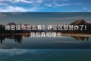 微密猫你怎么看？评论区怒赞炸了！背后真相曝光