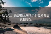 哈哈哈，微密猫太崩溃了！竟然背后真相曝光