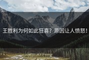 王胜利为何如此狂喜？原因让人愤怒！