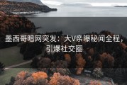 墨西哥暗网突发：大V亲曝秘闻全程，引爆社交圈
