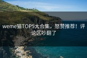 weme猫TOP5大合集，怒赞推荐！评论区吵翻了