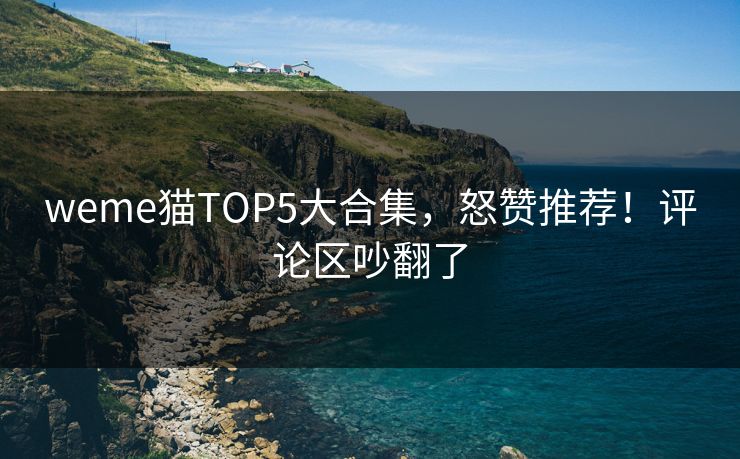 weme猫TOP5大合集，怒赞推荐！评论区吵翻了