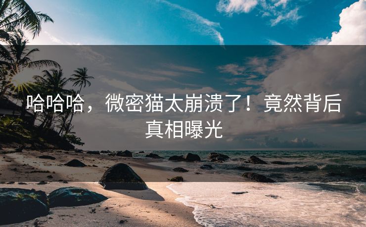 哈哈哈，微密猫太崩溃了！竟然背后真相曝光