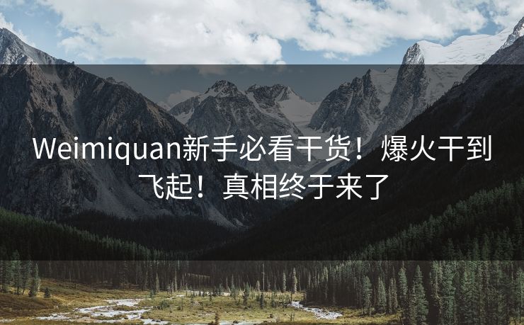 Weimiquan新手必看干货！爆火干到飞起！真相终于来了