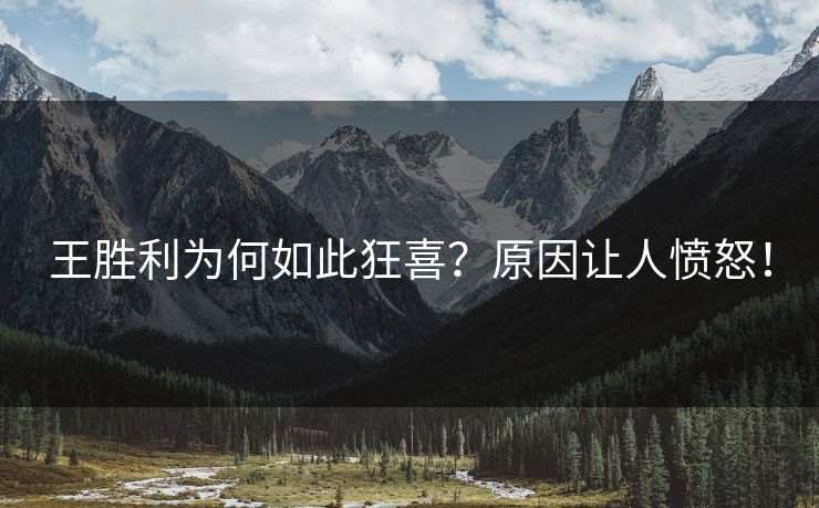 王胜利为何如此狂喜？原因让人愤怒！