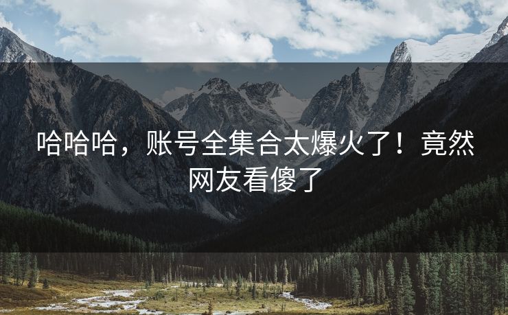 哈哈哈，账号全集合太爆火了！竟然网友看傻了