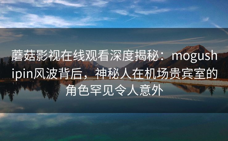 蘑菇影视在线观看深度揭秘：mogushipin风波背后，神秘人在机场贵宾室的角色罕见令人意外