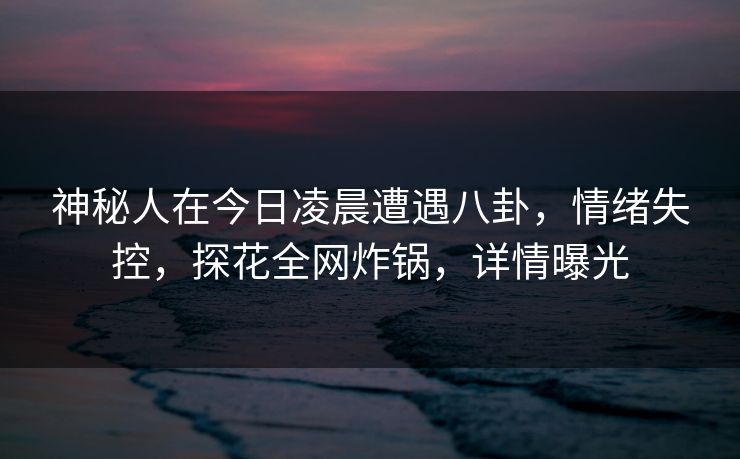 神秘人在今日凌晨遭遇八卦，情绪失控，探花全网炸锅，详情曝光
