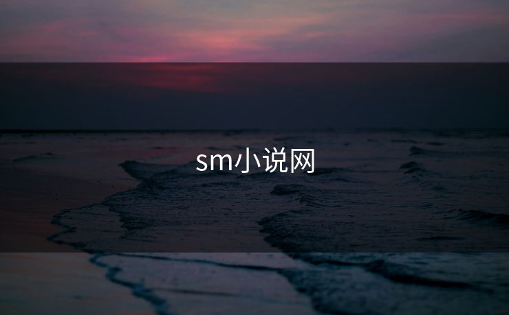 sm小说网