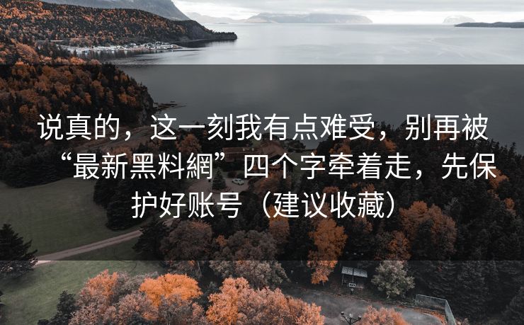 说真的，这一刻我有点难受，别再被“最新黑料網”四个字牵着走，先保护好账号（建议收藏）
