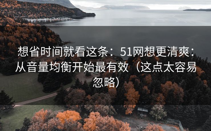想省时间就看这条：51网想更清爽：从音量均衡开始最有效（这点太容易忽略）