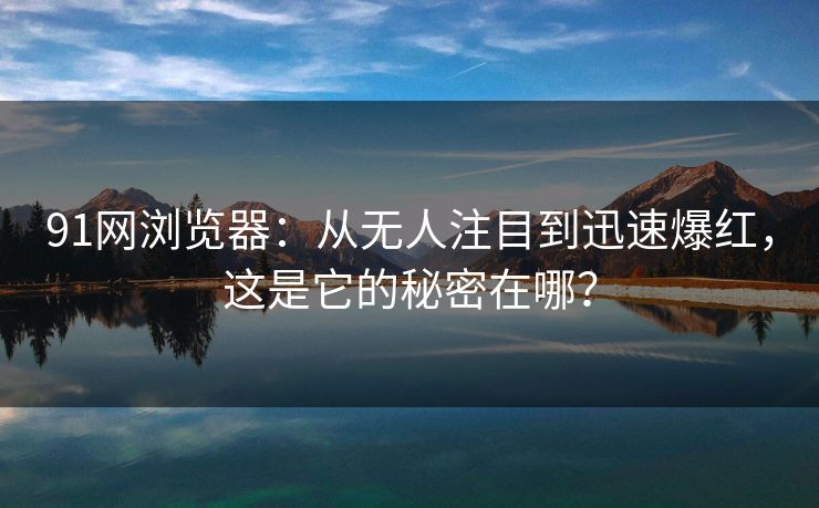 91网浏览器：从无人注目到迅速爆红，这是它的秘密在哪？